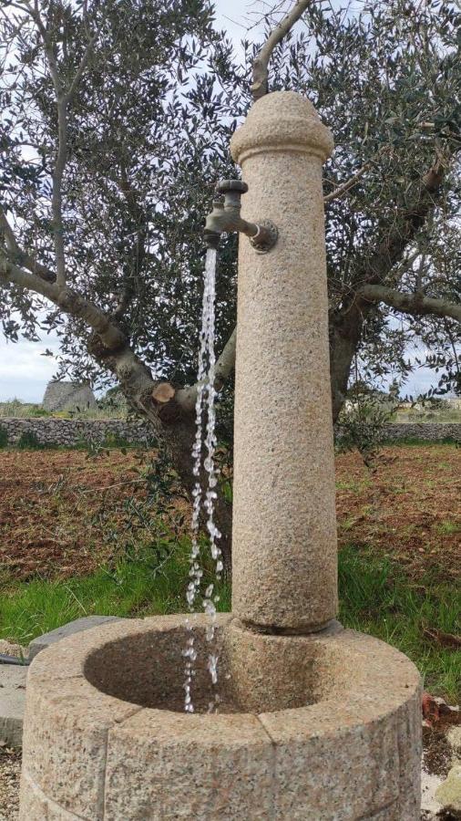 Palacca, Trullo Salentino Andrano Bagian luar foto