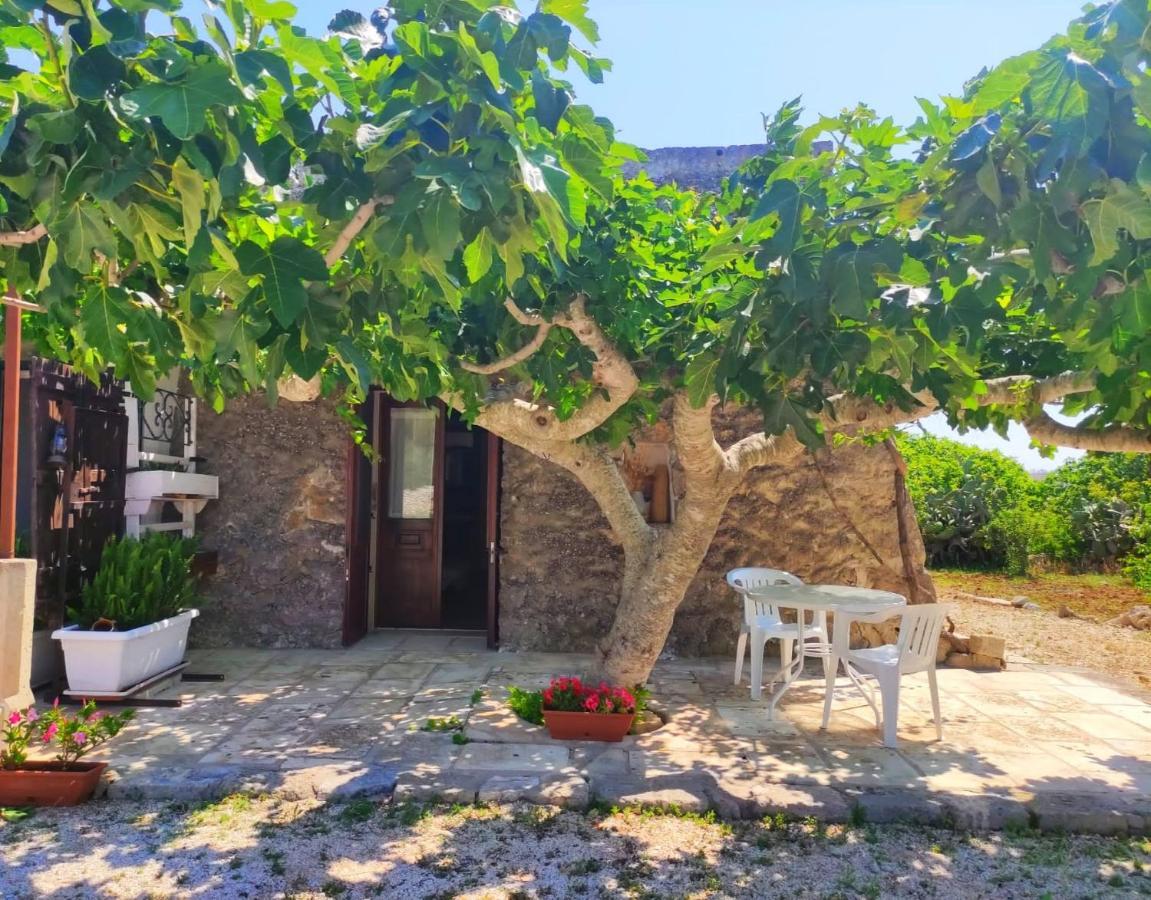 Palacca, Trullo Salentino Andrano Bagian luar foto