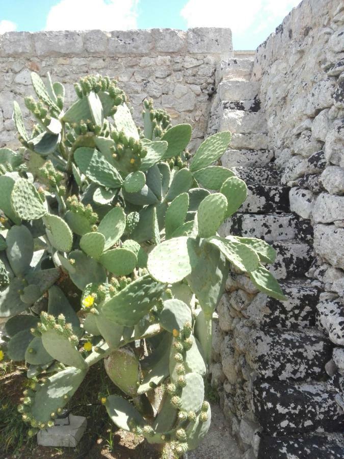 Palacca, Trullo Salentino Andrano Bagian luar foto