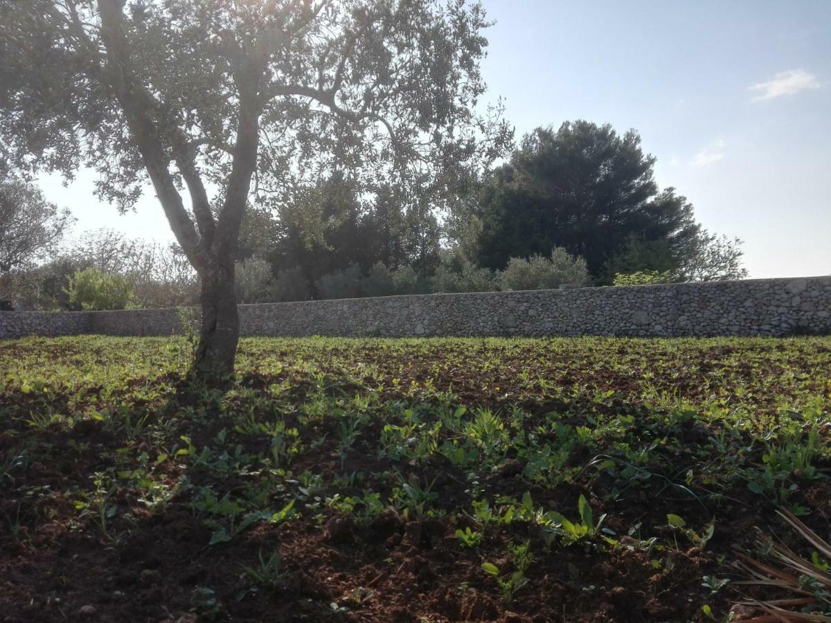 Palacca, Trullo Salentino Andrano Bagian luar foto